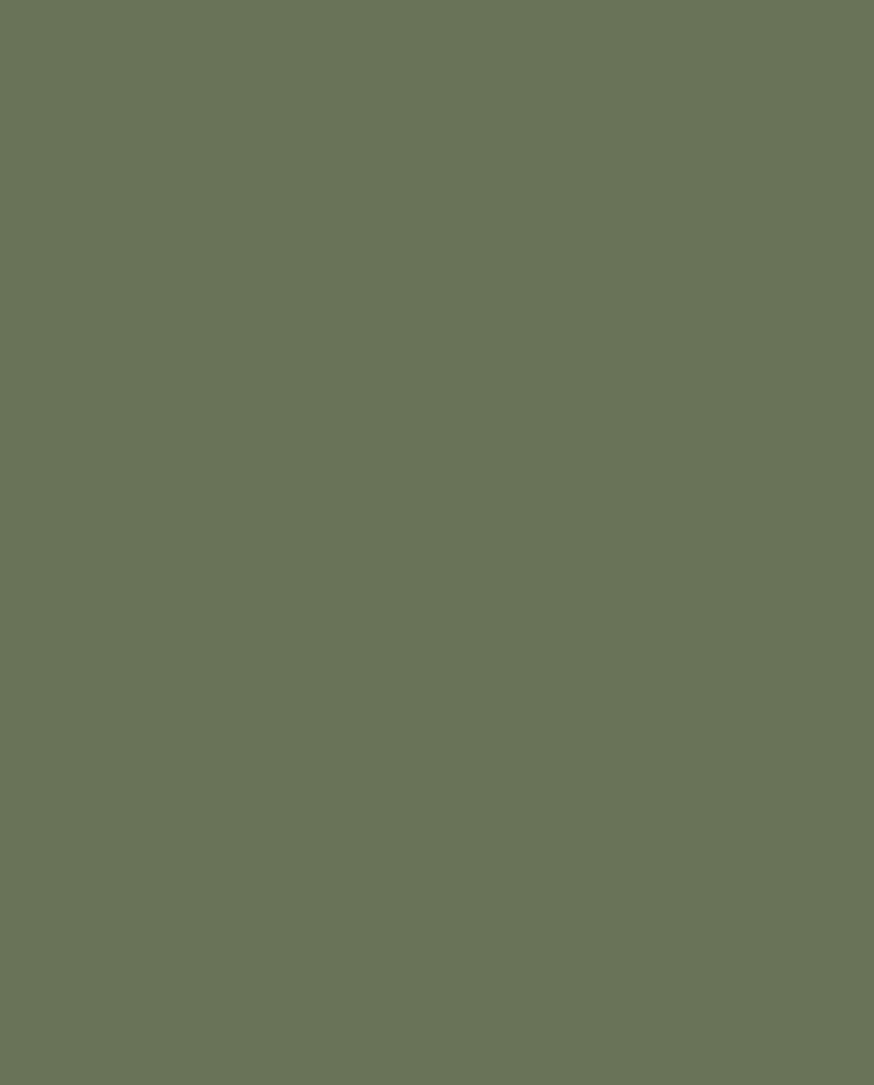 Olive Full Costume