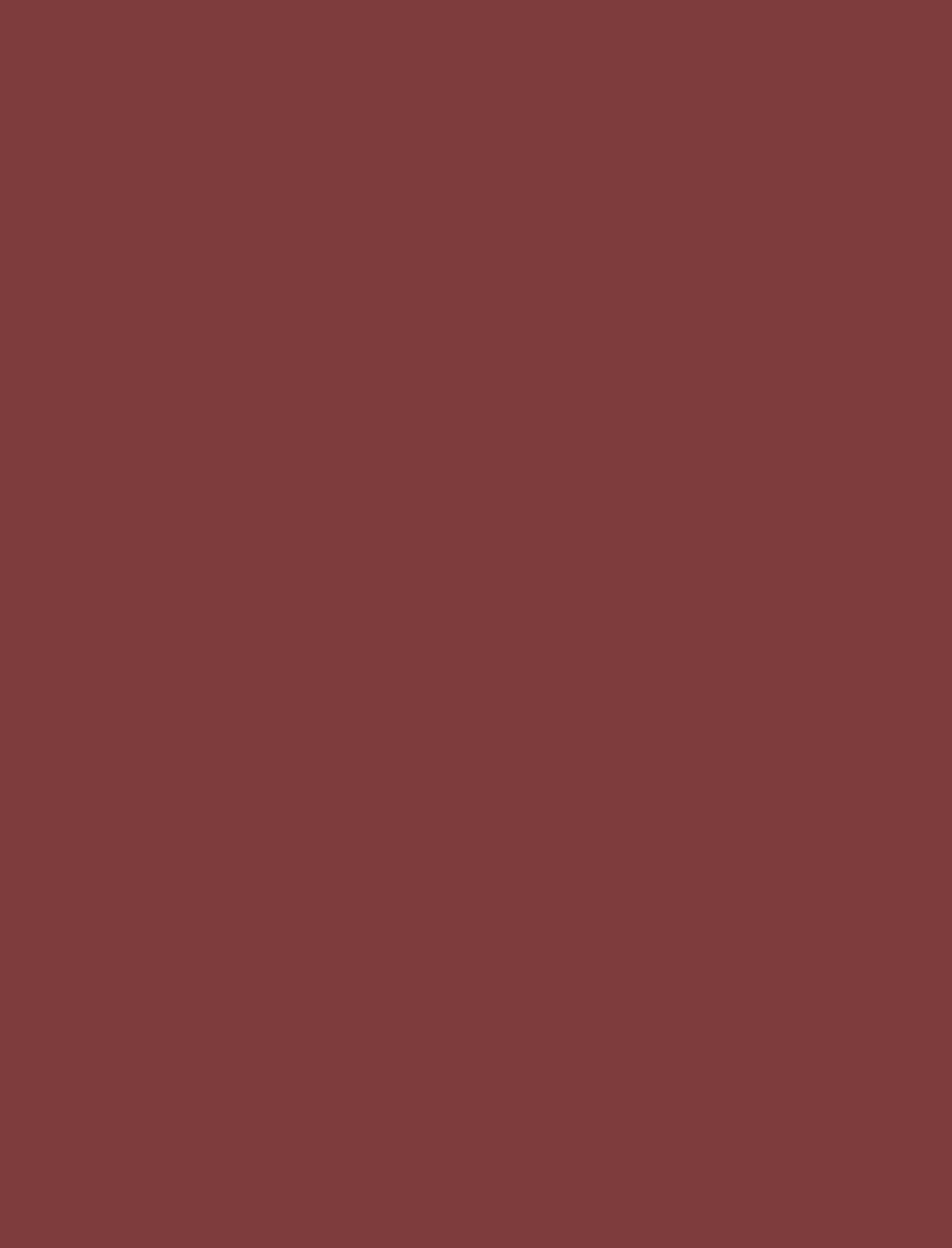 Maroon Full Costume