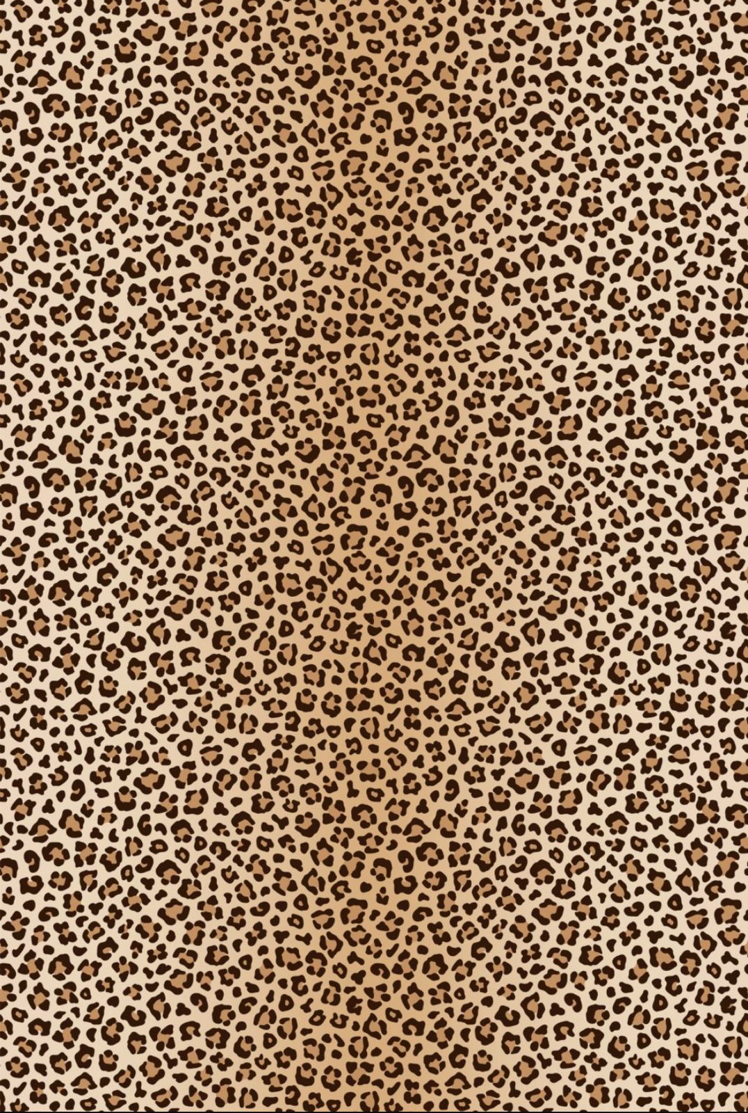Mini Leopard Full Costime
